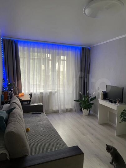 1-к. квартира, 30,3 м², 2/5 эт.