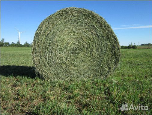 Продается сено в тюках