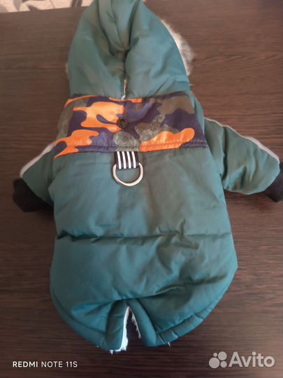 Одежда для маленькой собачки