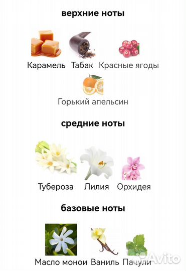 Cocaïne Franck Boclet для мужчин и женщин