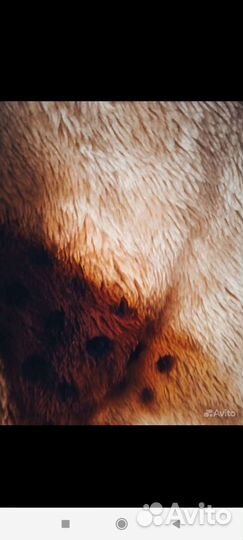 Автомобильные чехлы