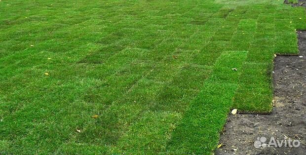 Рулонный газон, Опт/розница