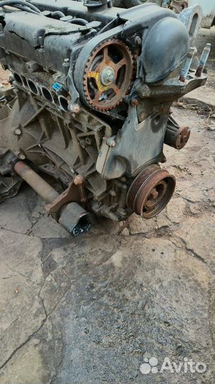 Двигатель для ford focus 2 форд фокус 2 1,6 shda