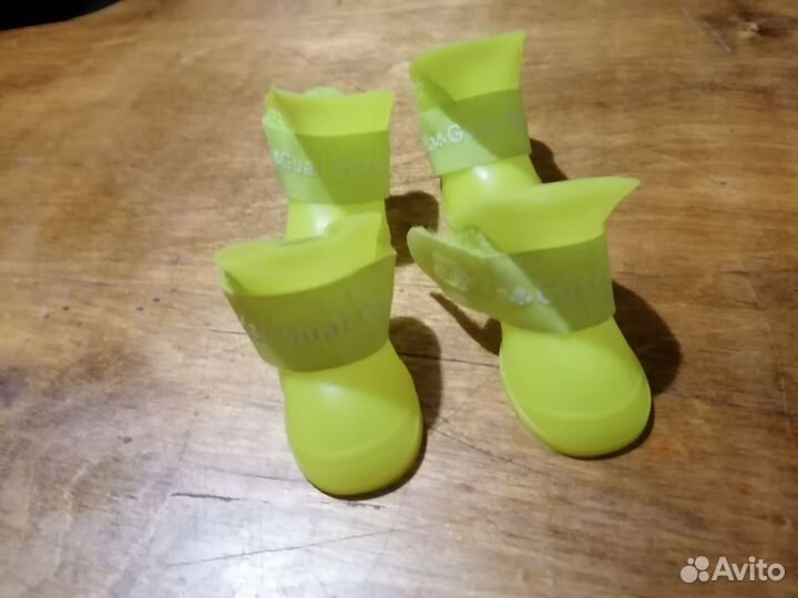 Одежда для собак