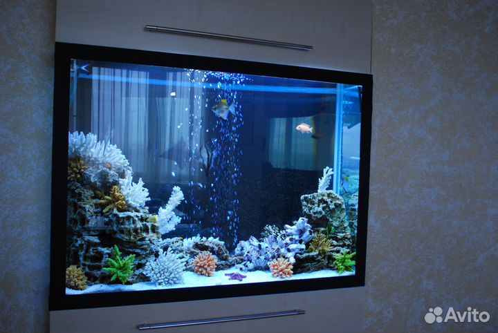 Обслужу и оформлю аквариумы