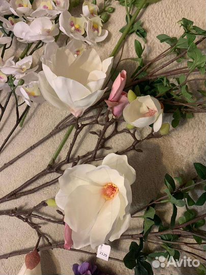 Монстера, магнолия, цветы Икеа смикка