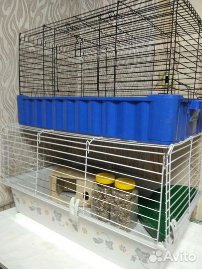 Клетка для морской свинки