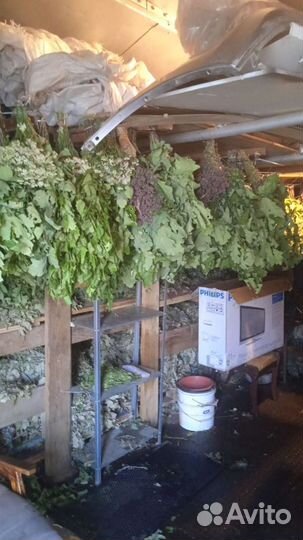 Веники для бани