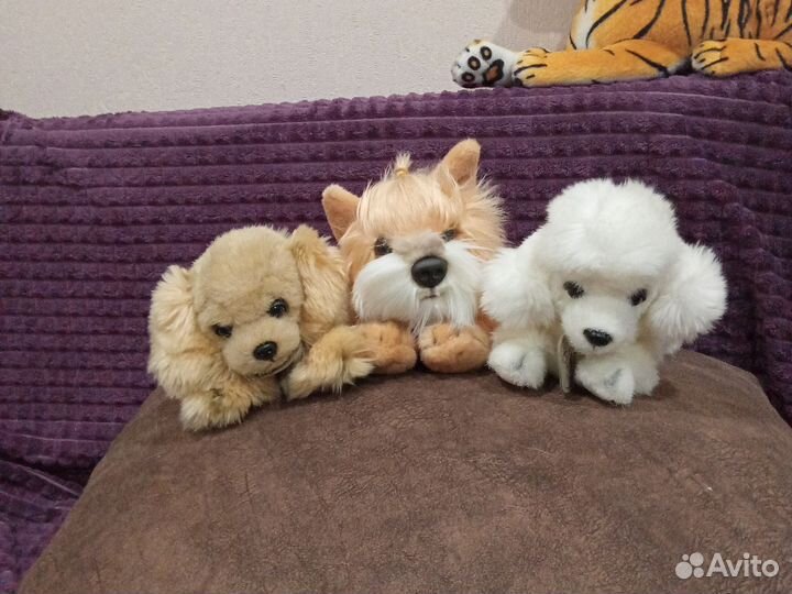 Коллекционные модели мягких щенков все новые