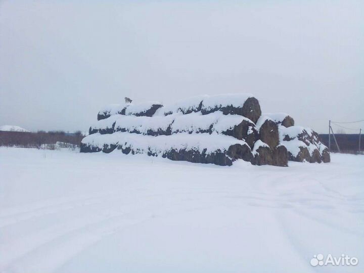 Сено в тюках