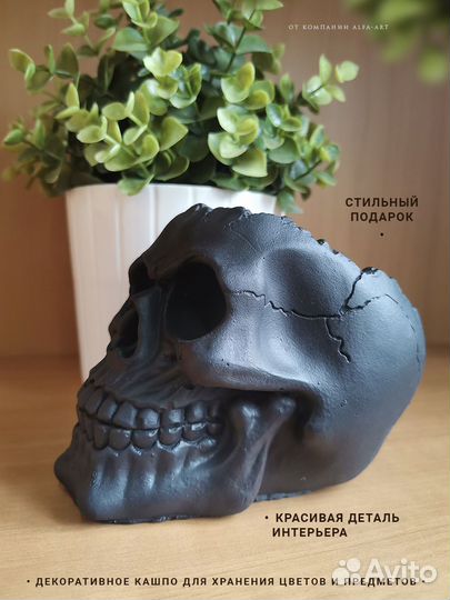 Кашпо Череп чёрный матовый из гипса