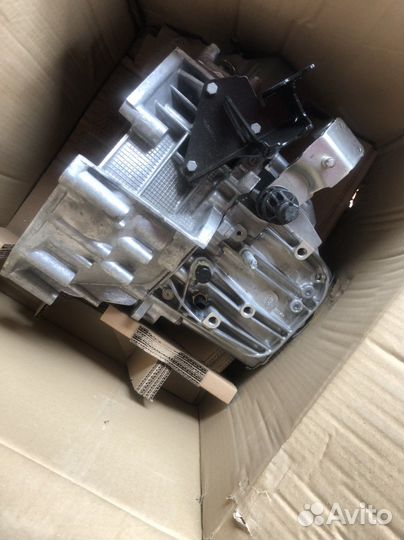 9838851480 новая Boxer Jumper