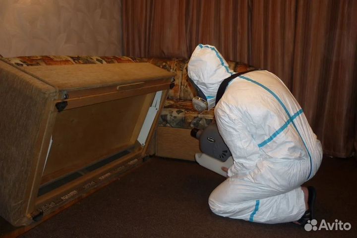 Уничтожение насекомых, грызунов и запаха 24/7