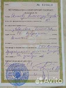 Мед натуральный Башкирия