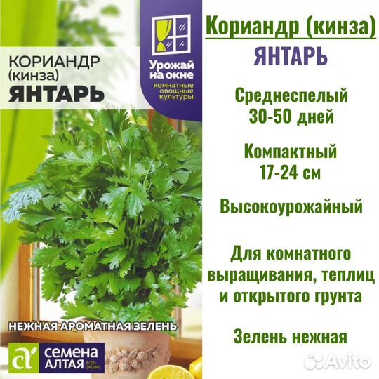 Семена кориандра (кинзы). Сорт 