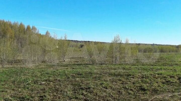 Участок 1,2 га (СНТ, ДНП)