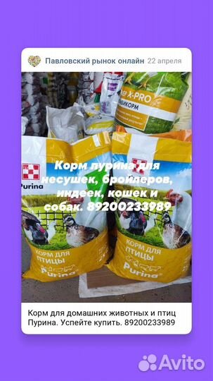 Комбикорма для животных и птиц