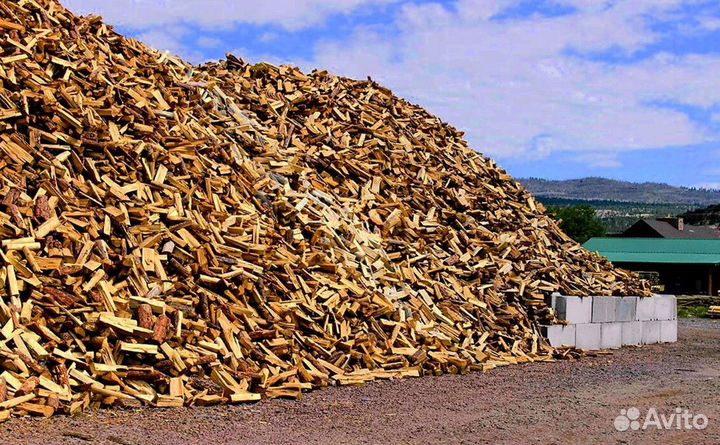 Дрова из леса