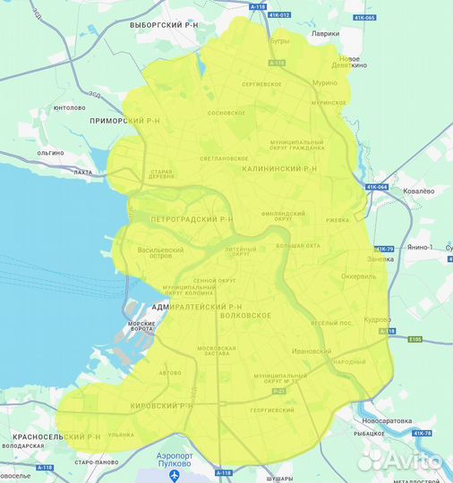 Стрижка кошки, бесплатный выезд на дом