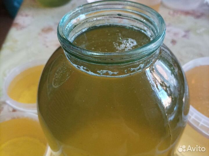 Мед майский (акация) 2023 Доставка