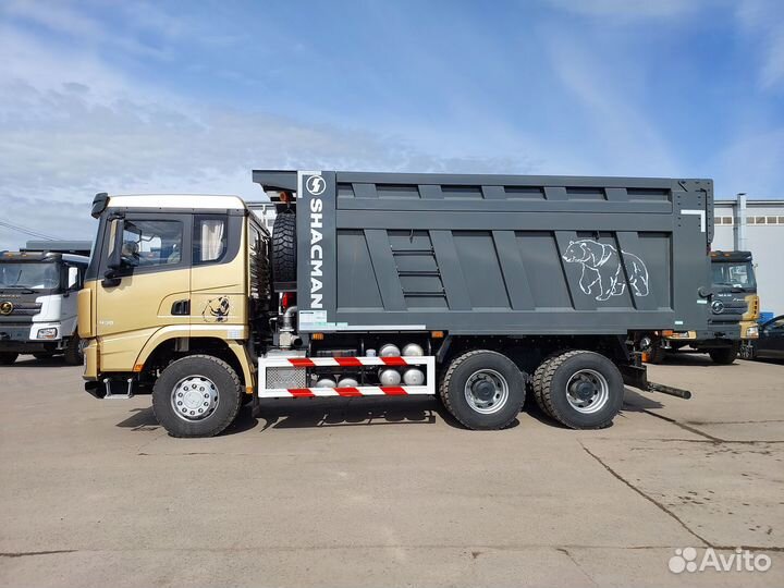 Shacman (Shaanxi) SX32586V384, 2023