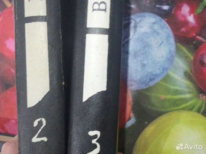 Книги Н.С. Лесков и В. Н. Войнович