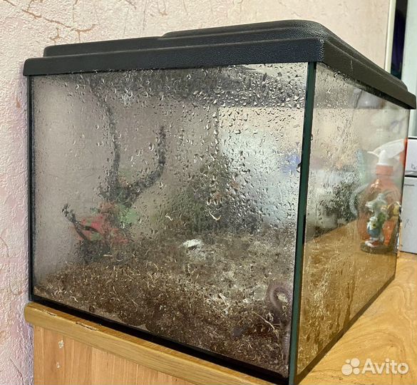 Террариум готовый