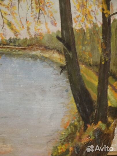 Картина срез дерева масло -Картина 1966г