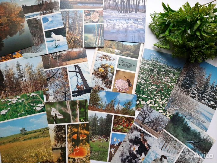 Комплект открыток СССР Времена года