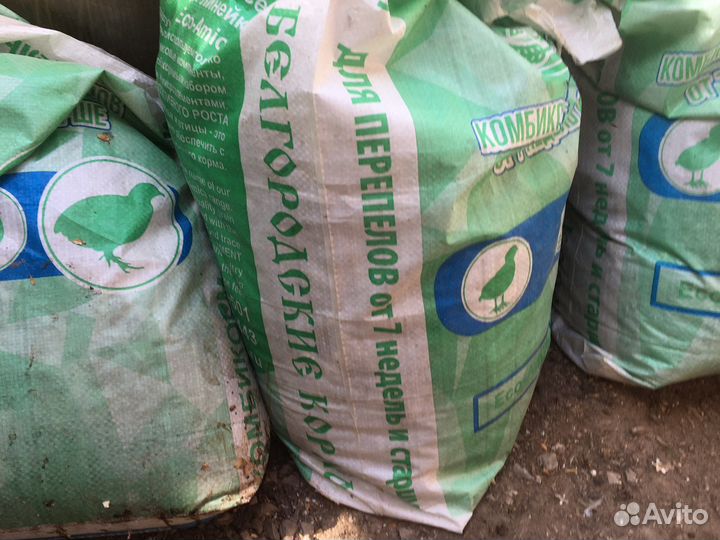 Перепелиный помет