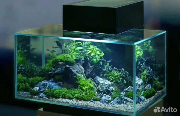 Чистка аквариумов и многое другое