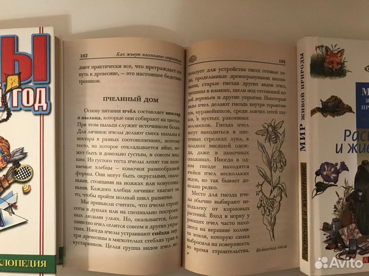 Детские книги, энциклопедии, насекомые, животные