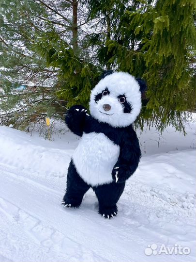 Поздравление Мишка Панда