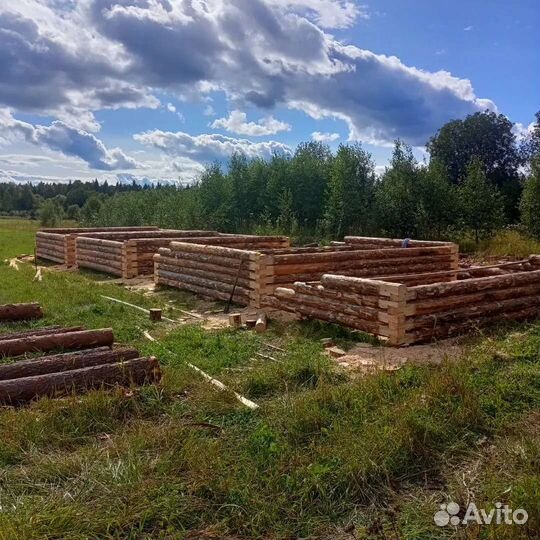 Плотник строитель