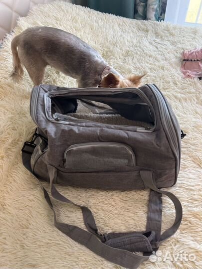 Сумка для собак