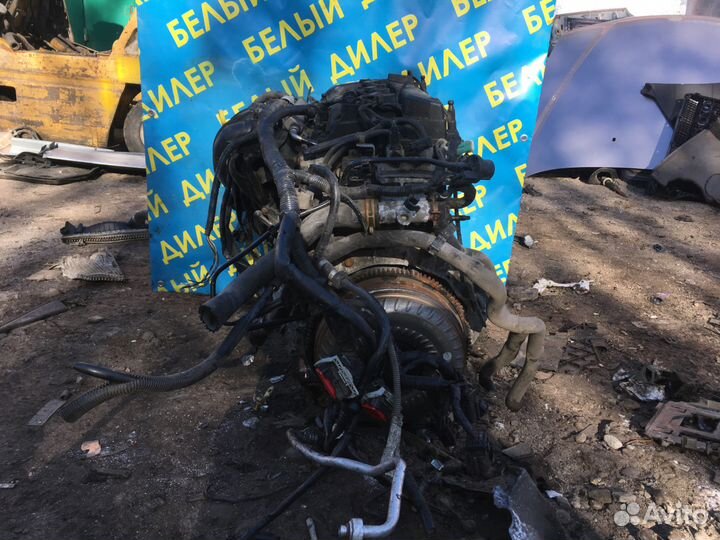 Двигатель Ford Focus 2 aoda 2 литра на запчасти