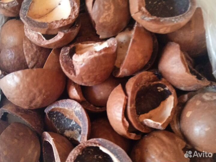 Скорлупа орехов макадамия