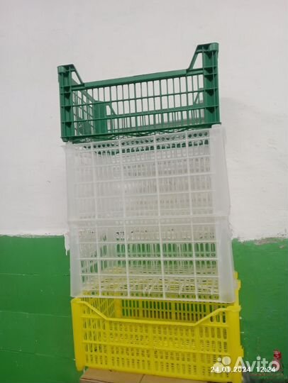 Пластиковые ящики для хранения овощей б/у