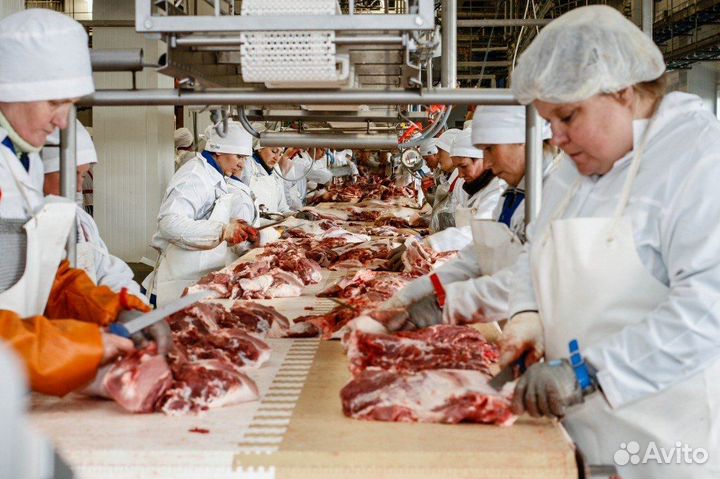 Разборщик субпродуктов на мясокомбинат в Пензу