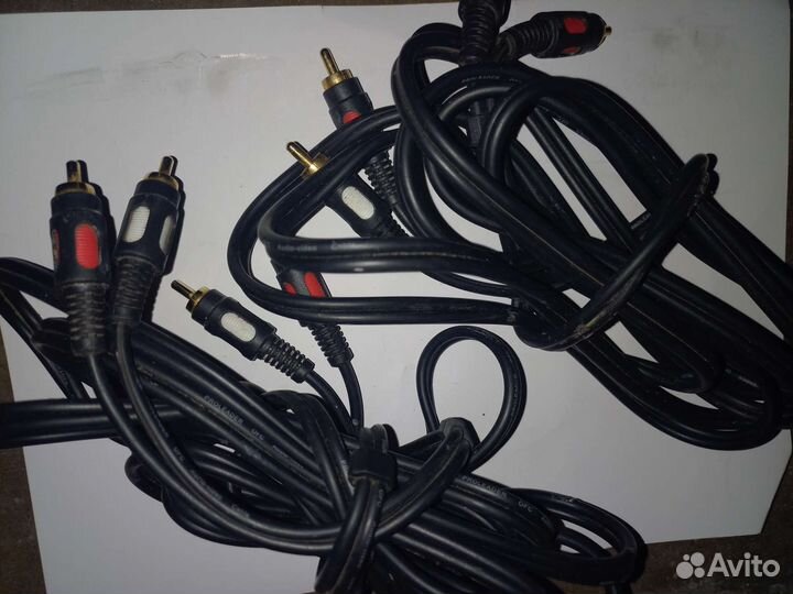 Тюльпаны провода