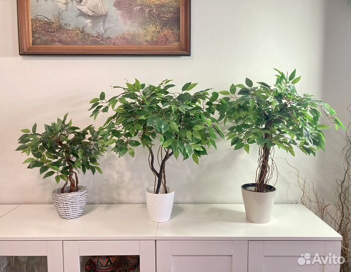 Фикус бенджамина искусственный