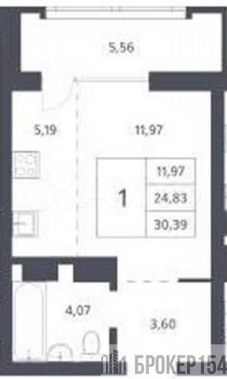 Квартира-студия, 24,8 м², 11/21 эт.