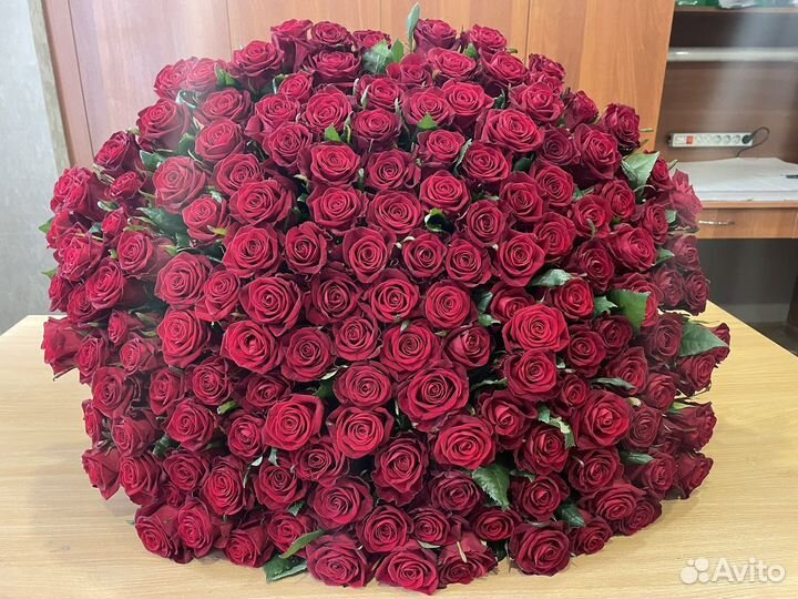 101 роза оптом Цветы Доставка Розы 15 25 51