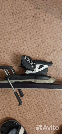 Горные лыжи саламон x free8