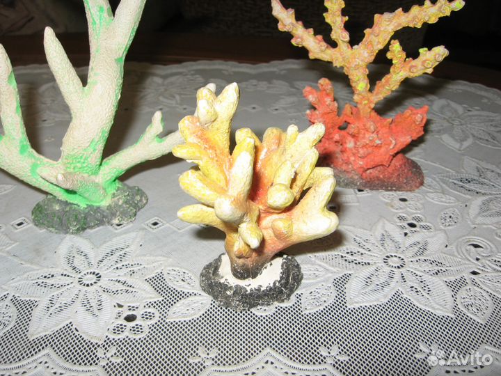 Кораллы для аквариума