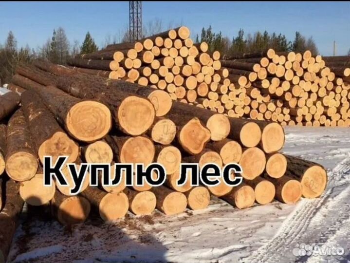 Закупка леса, Пиломатериалы, Горбиль