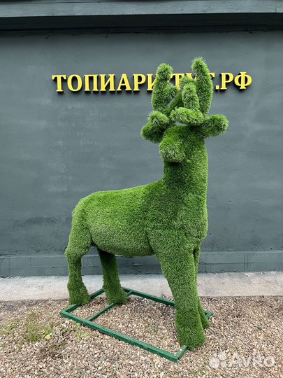 Топиари Топиарные фигуры Садовые фигуры