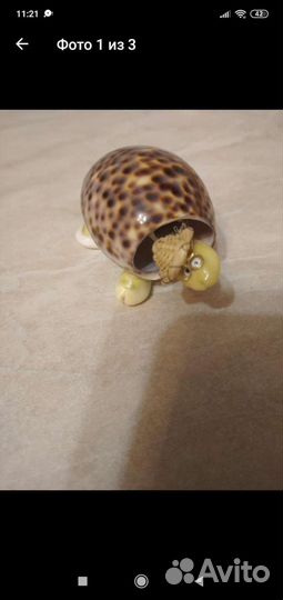 Черепаха из ракушек