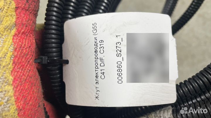 1933652 Жгут электропроводки G55 C41 D/F C319