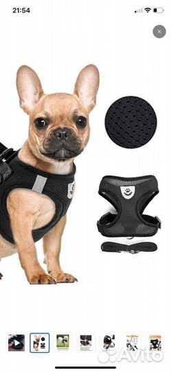 Мягкая шлейка для собаки